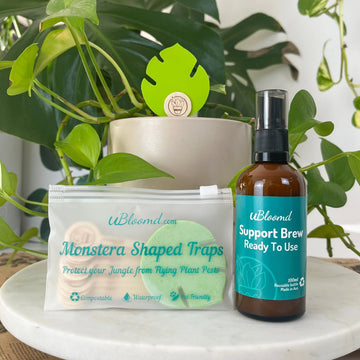 Open image in slideshow, Anti-Gnat Kit