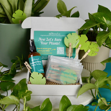 Open image in slideshow, Anti-Gnat Kit