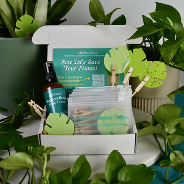 Open image in slideshow, Anti-Gnat Kit