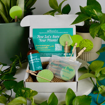 Open image in slideshow, Anti-Gnat Kit