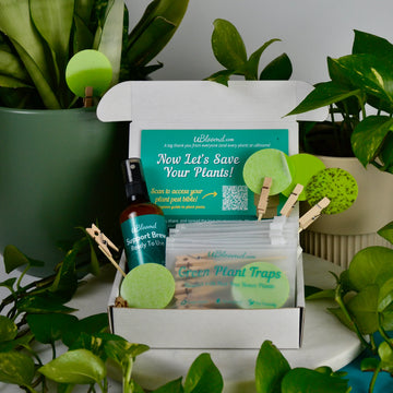 Open image in slideshow, Anti-Gnat Kit