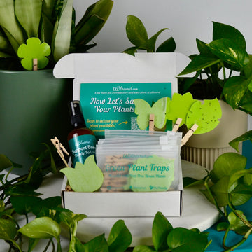 Open image in slideshow, Anti-Gnat Kit