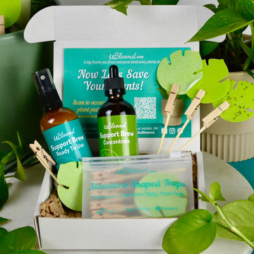 Open image in slideshow, Plant Care Bundle