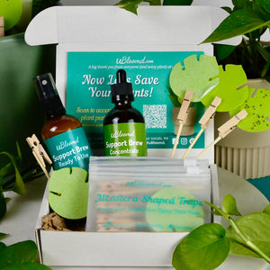 Open image in slideshow, Plant Care Bundle