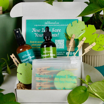 Open image in slideshow, Plant Care Bundle