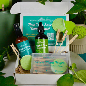 Open image in slideshow, Plant Care Bundle