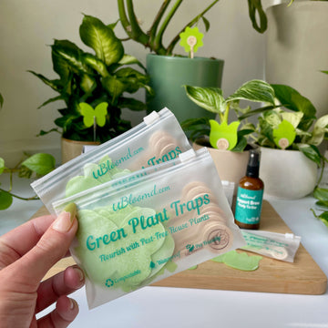 Open image in slideshow, Anti-Gnat Kit