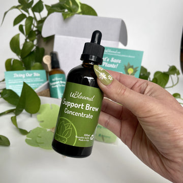 Open image in slideshow, Plant Care Bundle