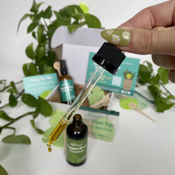 Open image in slideshow, Plant Care Bundle