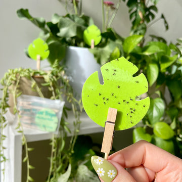 Open image in slideshow, The Greenthumbs 90 Pack