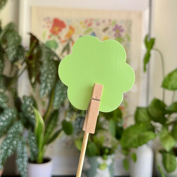 Open image in slideshow, Anti-Gnat Kit