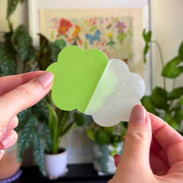 Open image in slideshow, Anti-Gnat Kit