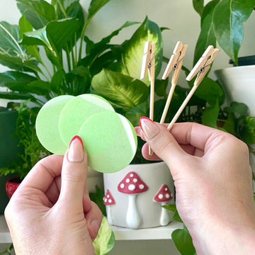 Open image in slideshow, Anti-Gnat Kit