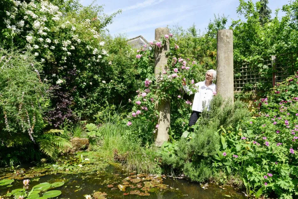 Beautiful outdoor garden flowering in spring. A middle aged women in a white jacket is holding a flower up to inspect in the center of the image.