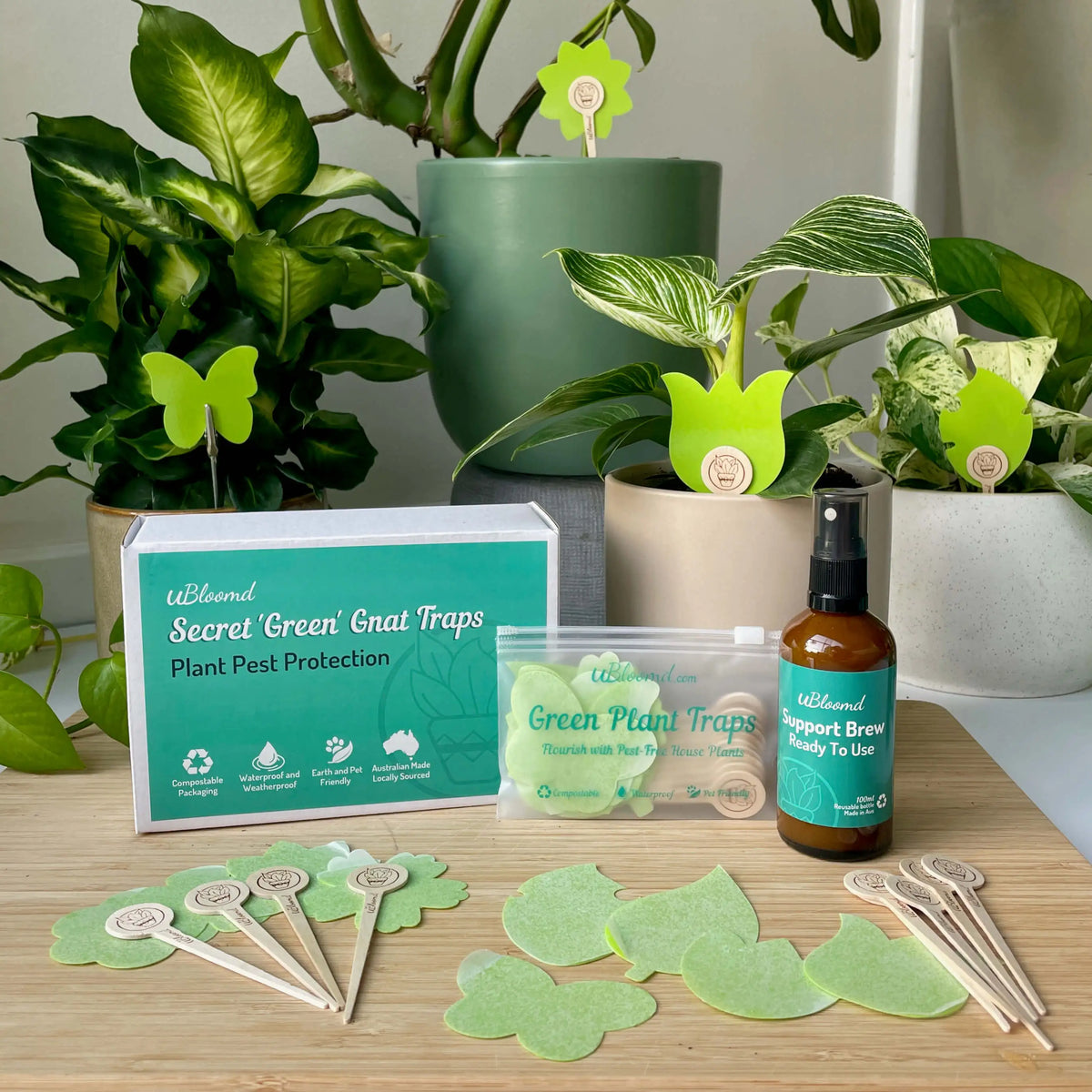 Green Fungus Gnat Removal For Indoor Plants – uBloomd - Gnat Removal From Small Areas Around Shelf Supports