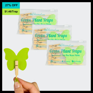 Open image in slideshow, Aesthetic Butterfly Sticky Traps
