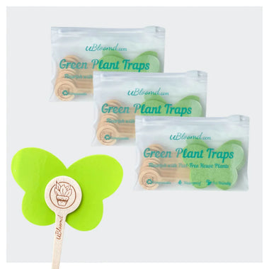 Aesthetic Butterfly Sticky Traps 30 Pack