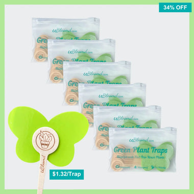 Aesthetic Butterfly Sticky Traps 60 Pack