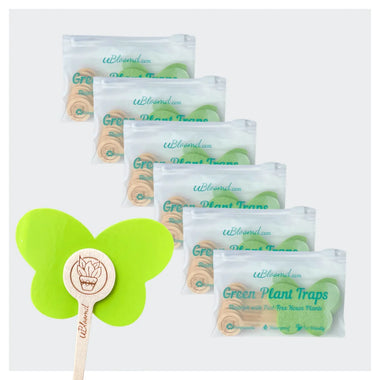 Aesthetic Butterfly Sticky Traps 60 Pack