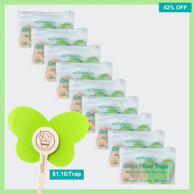 Aesthetic Butterfly Sticky Traps 90 Pack