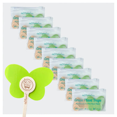 Aesthetic Butterfly Sticky Traps 90 Pack