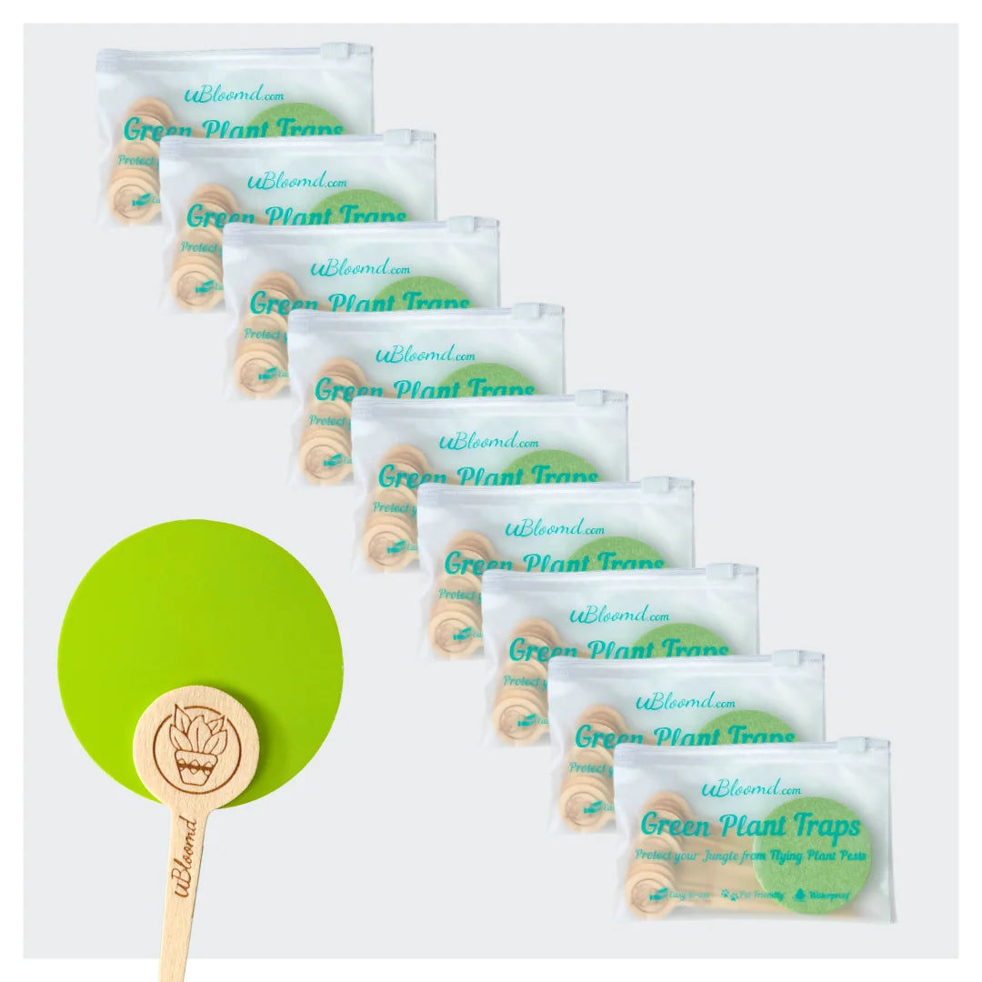 Classic Circle Sticky Traps 90 Pack