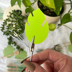 Indoor Plant Protection Bundle