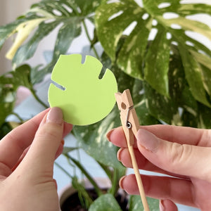 10x Green Sticky Traps
