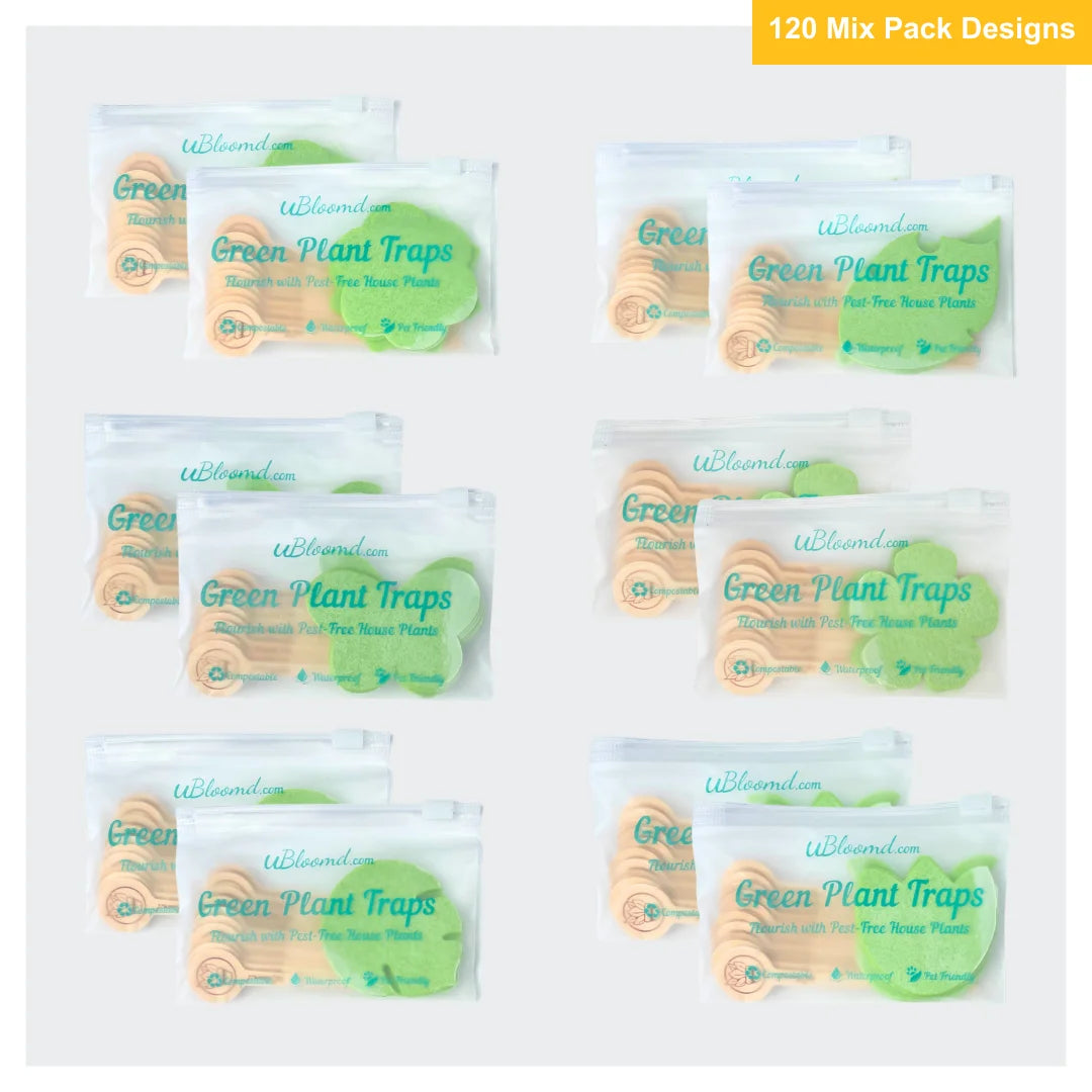 The Jungle Sticky Traps 120 Pack