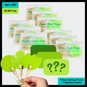 Open image in slideshow, Mystery Garden Sticky Traps 120 Pack
