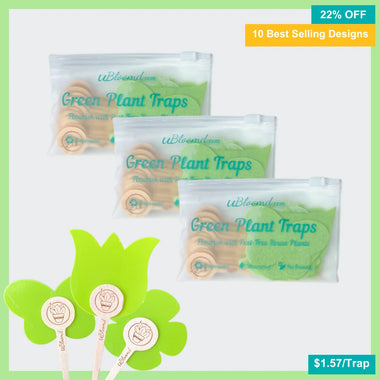 Nature Collection Sticky Traps 30 Pack