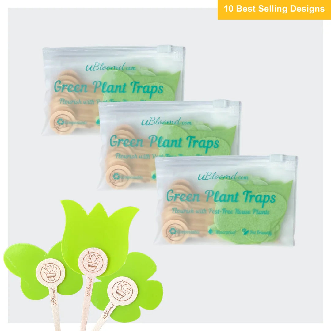 Nature Collection Sticky Traps 30 Pack