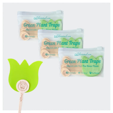 Tulip Festival Sticky Traps 30 Pack